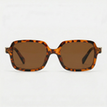 Marfa Tortoise